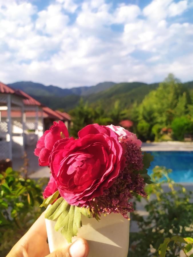 Bliss Hotel Gabala Ngoại thất bức ảnh